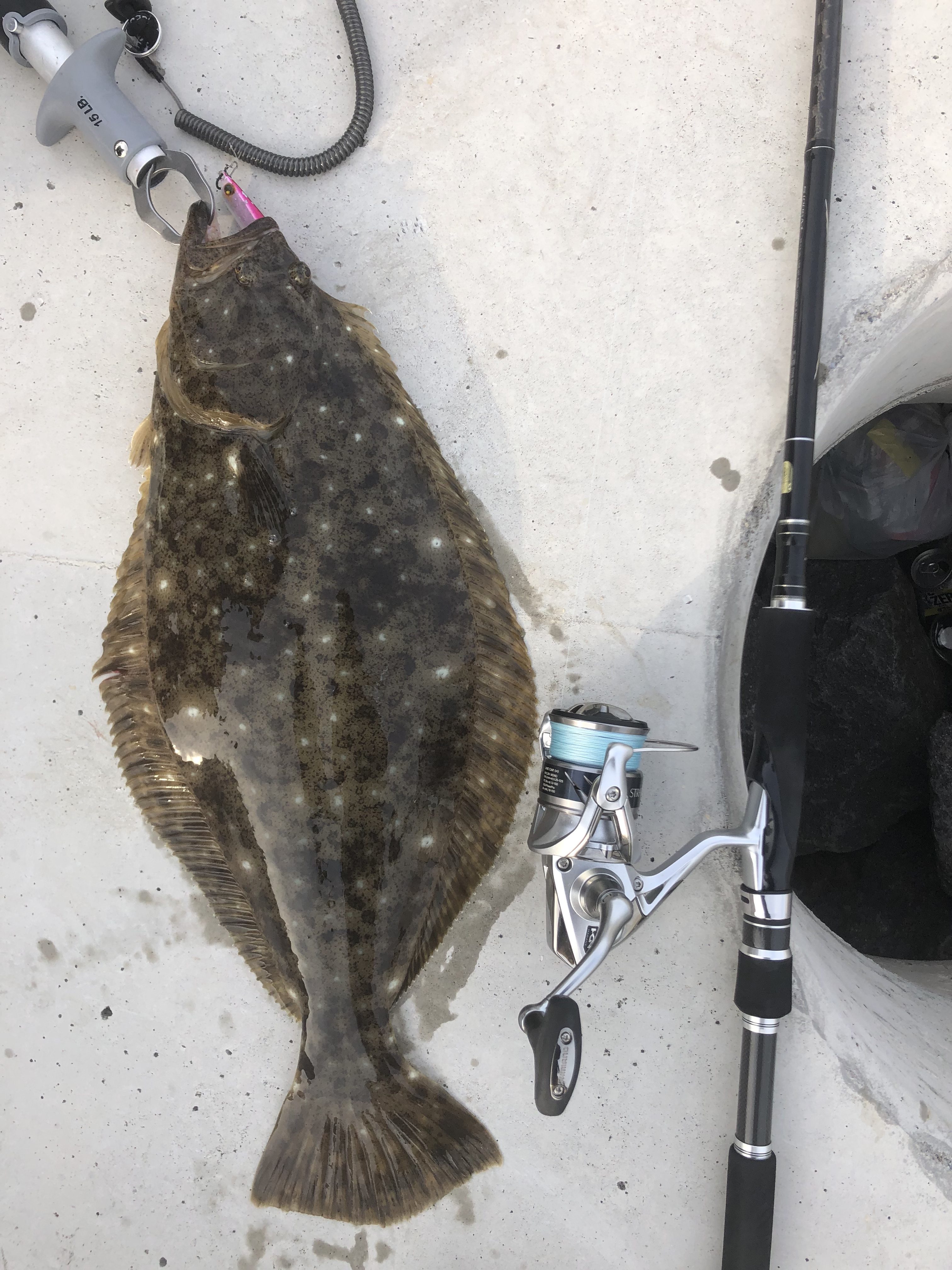 道南 ヒラメ釣り 釣果情報 北海道釣りブログ