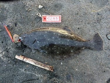 やっと落ち着いた・・・今週は勝負だ！！