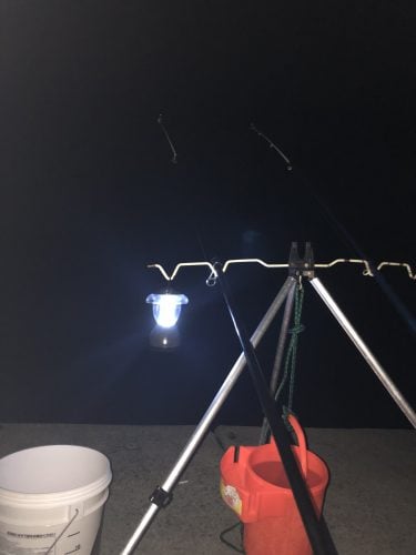 道南 ハモ（マアナゴ）釣り パート2