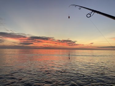 2020 道南 鮭釣り情報